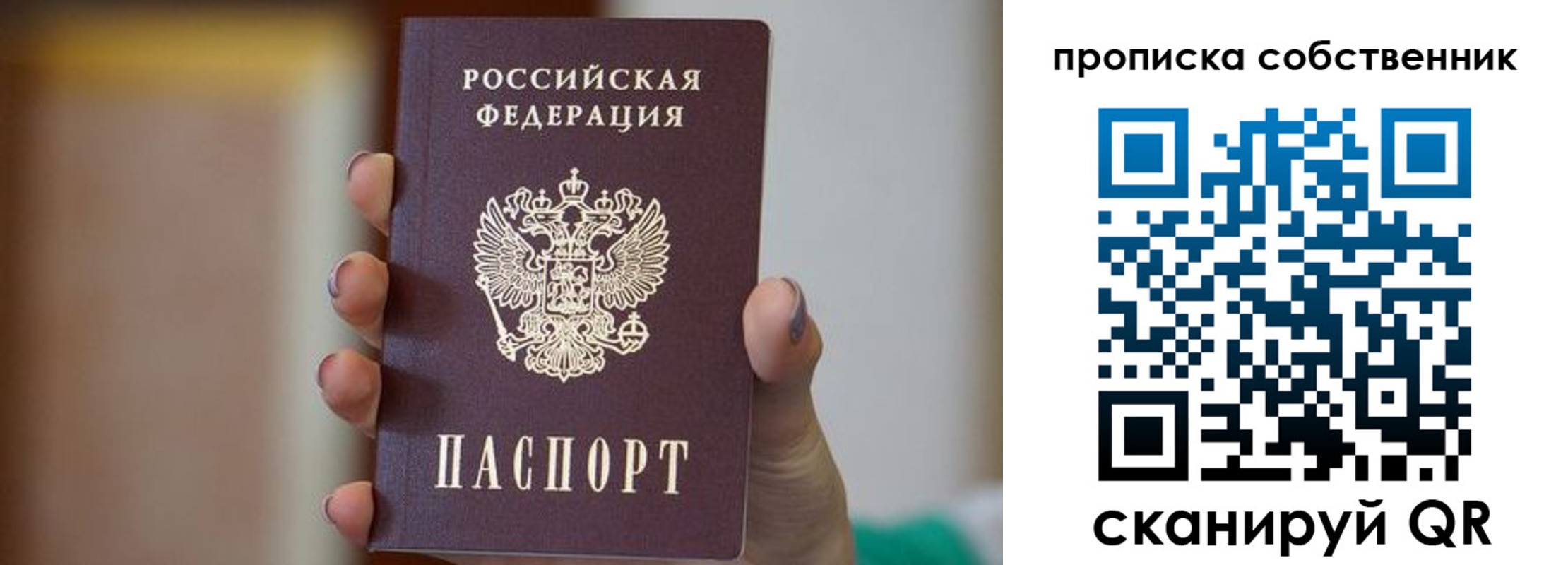 прописка поиск в Егорьевске